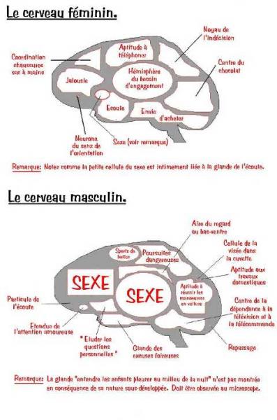 verite